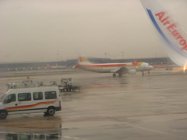 IMG_3395.jpg